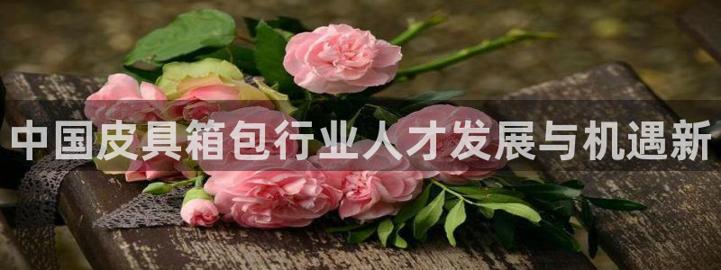 琳琅娱乐 全麦优质