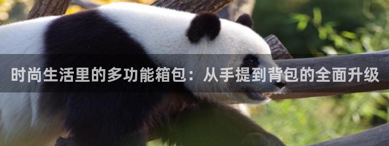 琳琅娱乐在线观看