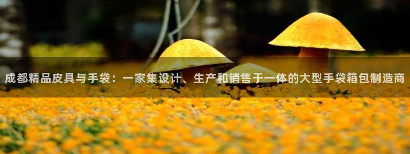 琳琅娱乐主管