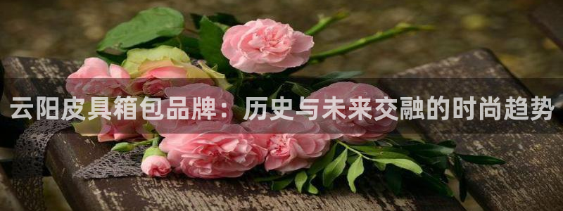 琳琅娱乐注册
