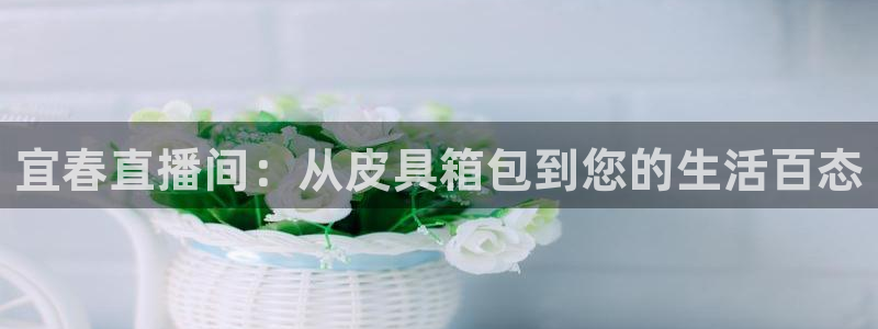 琳琅娱乐成年女人视频