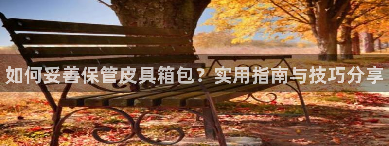 琳琅科技娱乐机器人插件