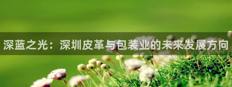 琳琅娱乐天美2