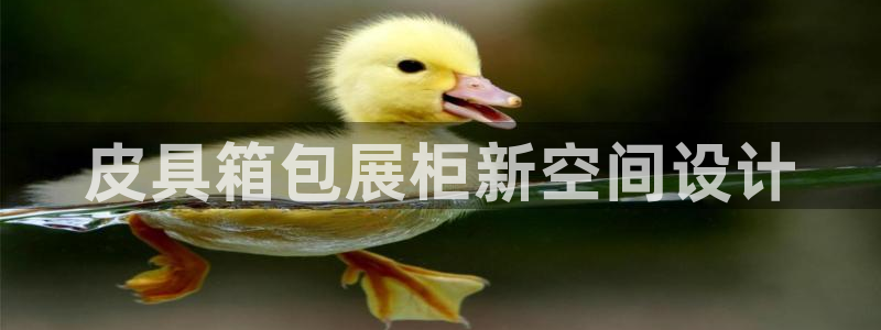 琳琅娱乐工作室地址