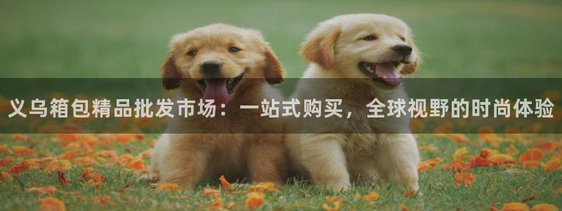 琳琅娱乐总代
