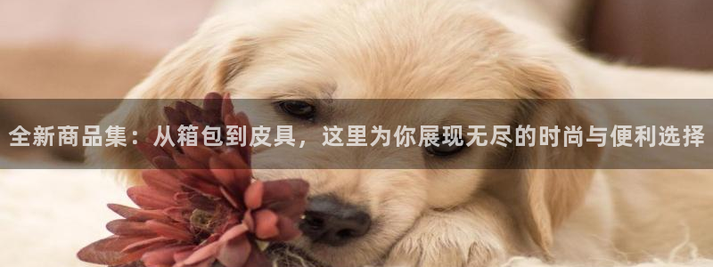 琳琅娱乐温柔乡网站