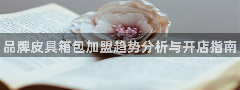 琳琅科技娱乐qq机器人词库