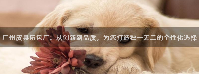 琳琅科技娱乐机器人插件