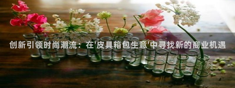 琳琅娱乐代理怎么做