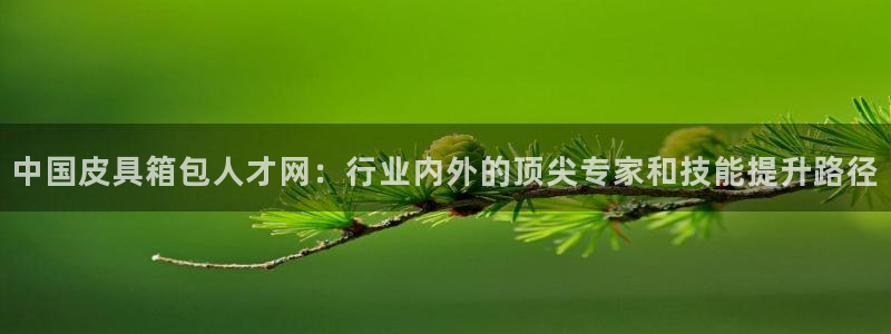琳琅娱乐机器人