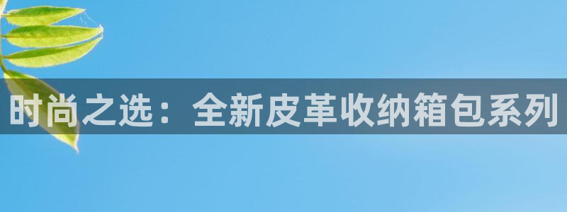 琳琅娱乐 全麦优质