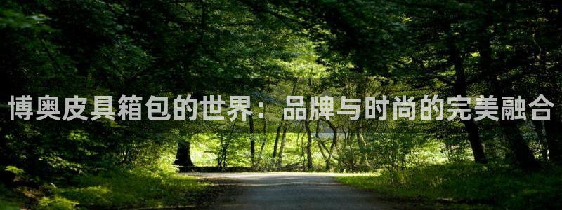 琳琅娱乐工作室地址查询