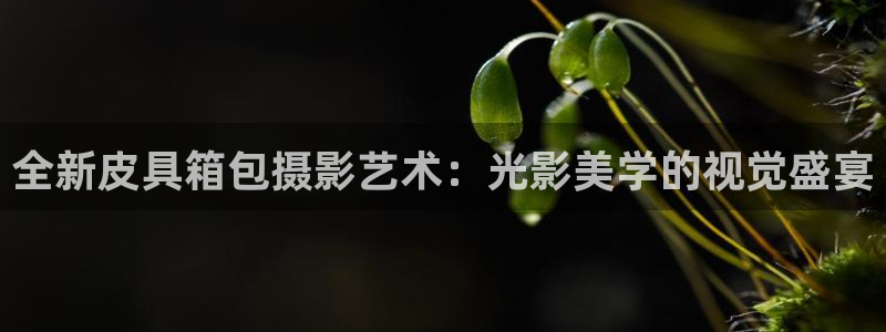 琳琅作者娱乐圈女主