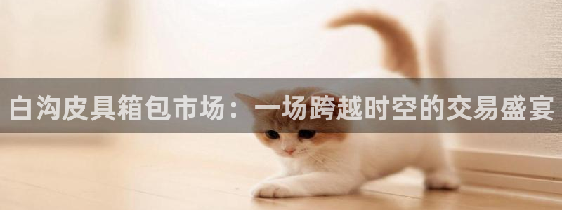 qq琳琅科技娱乐机器人