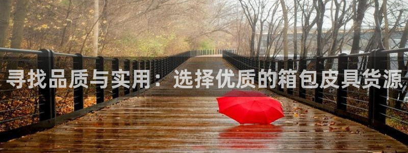 琳琅娱乐代理人是谁