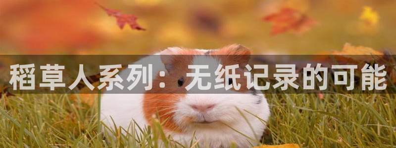 琳琅娱乐招商注册