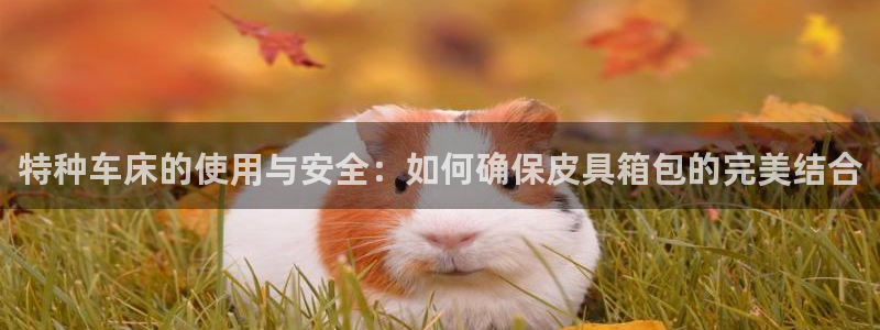 琳琅科技娱乐