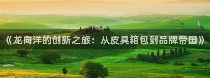 琳琅满目的娱乐设施