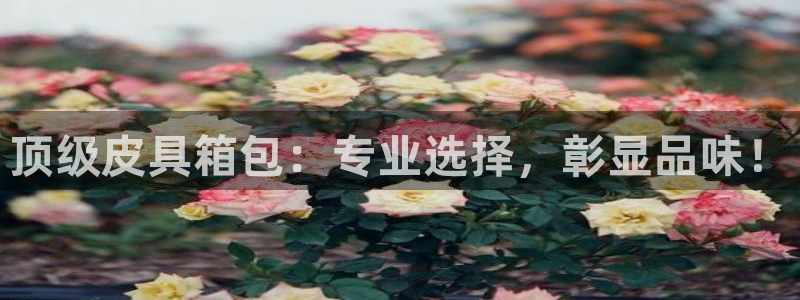 琳琅娱乐代理
