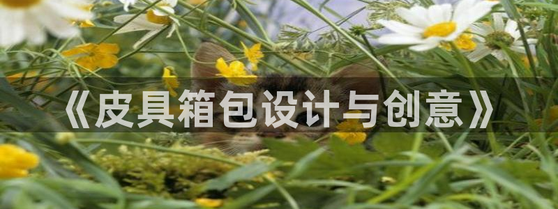 琳琅娱乐组飞车