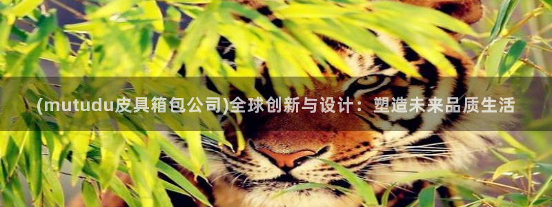 琳琅国际娱乐会所怎么样