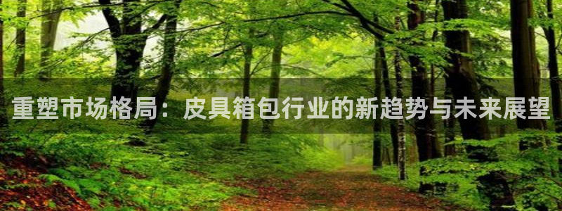 琳琅娱乐代理人是谁