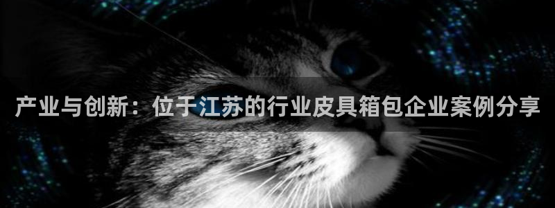 琳琅娱乐招商注册