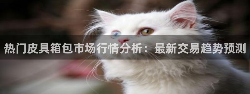 琳琅娱乐怎么样知乎