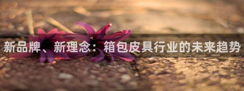 琳琅娱乐平台是真的吗