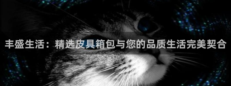 琳琅科技娱乐机器人下载