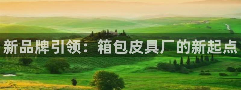 琳琅娱乐组飞车