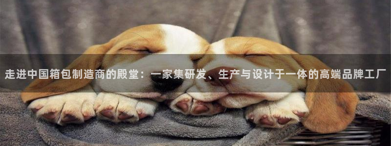 琳琅满目的娱乐设施