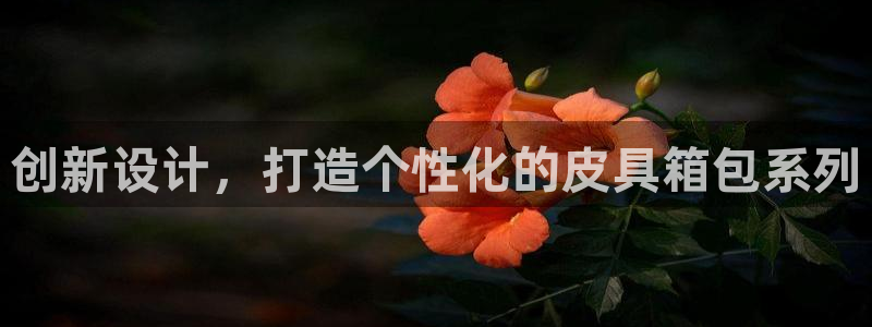 琳琅娱乐平台注册