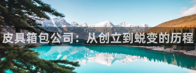 琳琅娱乐注册资金多少