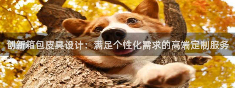 琳琅科技娱乐机器人教程