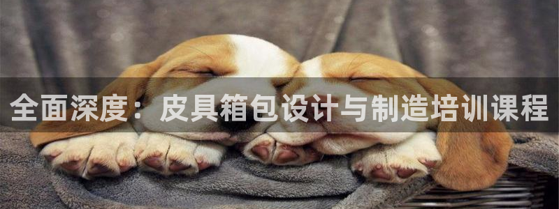 琳琅偏爱娱乐