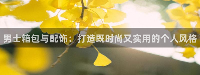 琳琅科技娱乐机器人下载