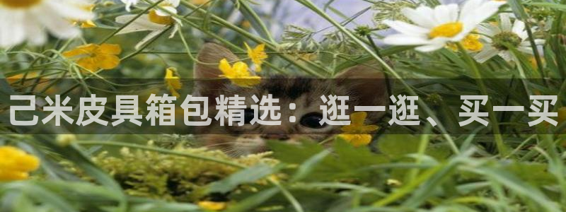 琳琅娱乐周7O777