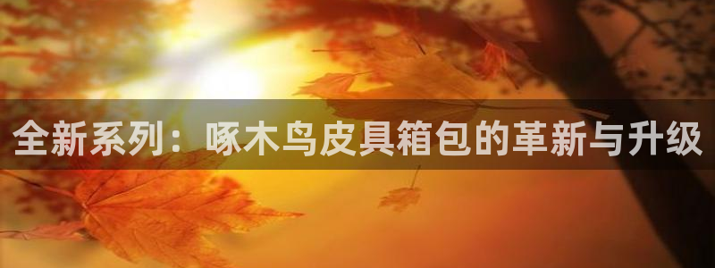 琳琅娱乐m