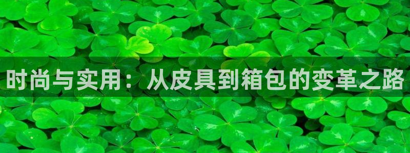 琳琅娱乐足球