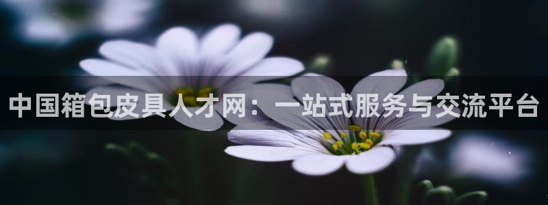 琳琅娱乐注册资金多少钱