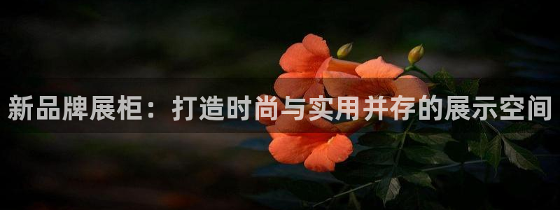 琳琅娱乐m
