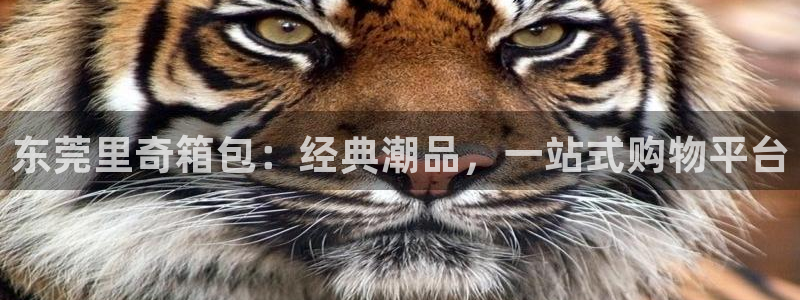琳琅娱乐社区