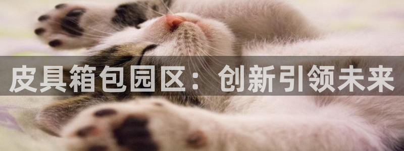 琳琅娱乐注册登录官网