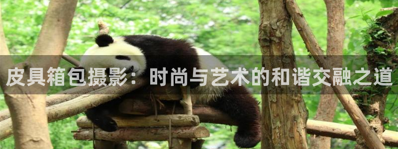 琳琅娱乐注册登录官网