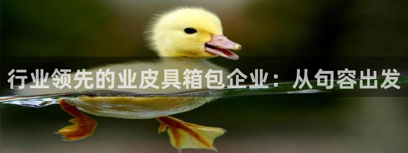 杭州琳琅互动娱乐