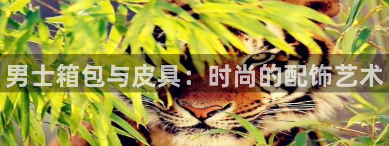 琳琅娱乐在线注册