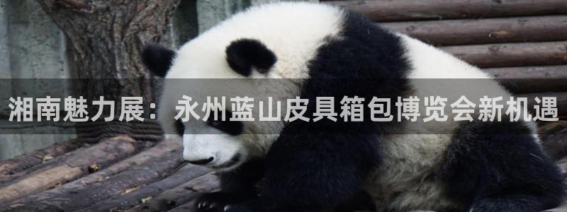 琳琅娱乐代理怎么样