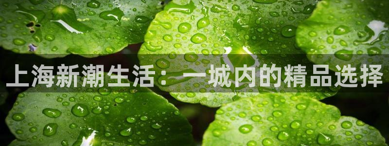 琳琅娱乐代理怎么做