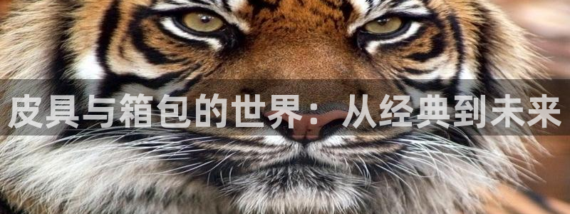 琳琅娱乐工作室招聘电话